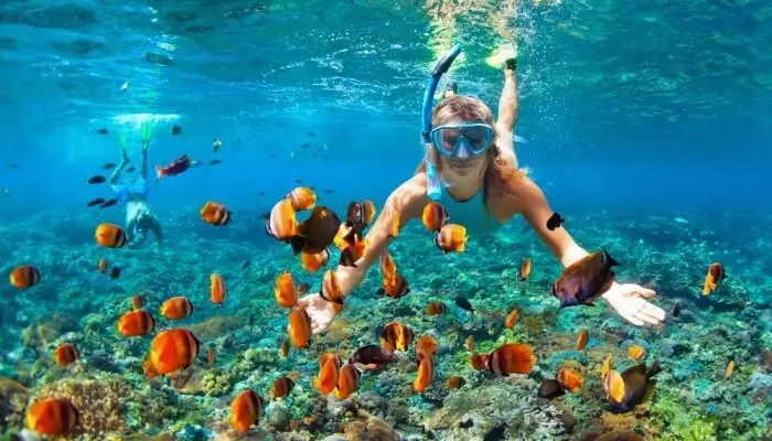 Charter boat for scuba diving & snorkelling in the Anda ...