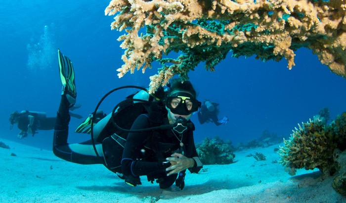 Snorkelling & Diving on Barren Island