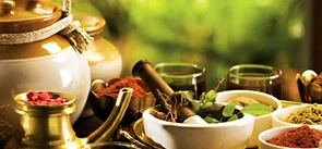 Ayurveda Tourism Destinations & Regional Specialties in ...