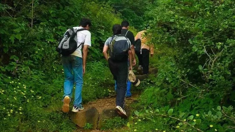 Trekking in the Andaman Islands