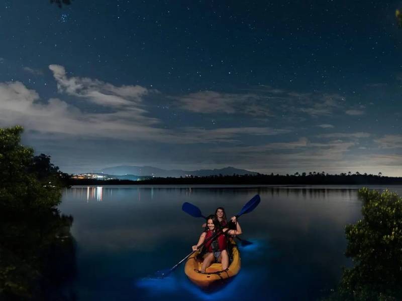 Bioluminescence Night Kayaking in Havelock Island