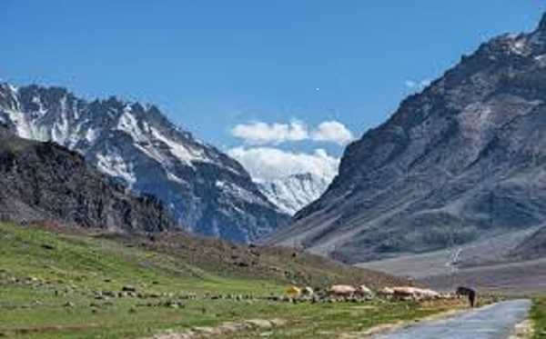 8 Things to Know Before Planning a Trip to Himachal Pra ...