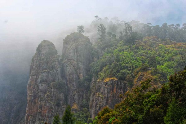 Let's Meet Princess Of Hill Stations - Kodaikanal