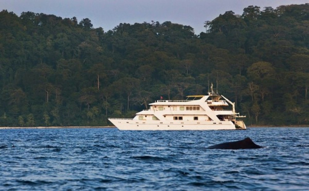 Private boat charter for snorkelling in Diglipur Island