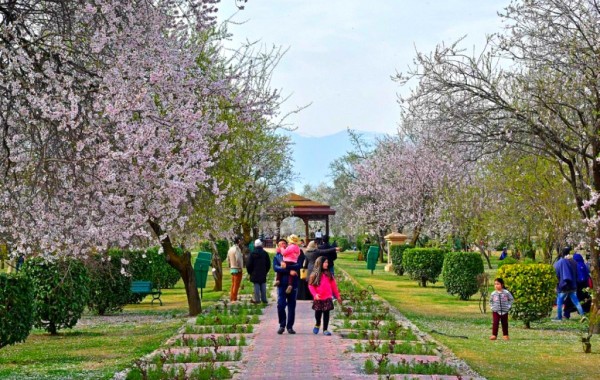 Best Time to Visit Kashmir