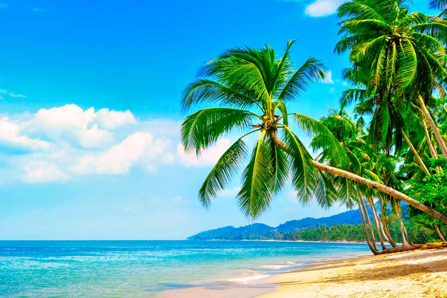 Sightseeing in Andaman