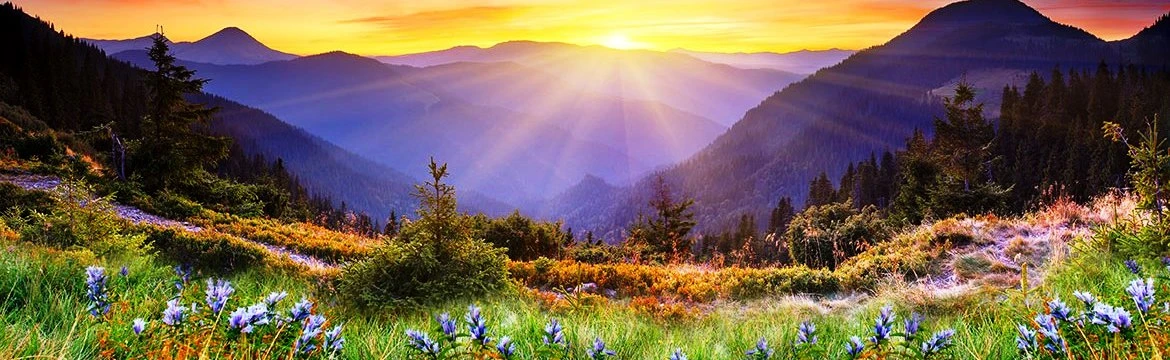 Himachal Pradesh Tour Packages