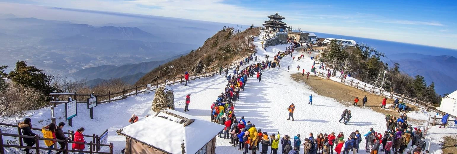 Manali Tour Packages