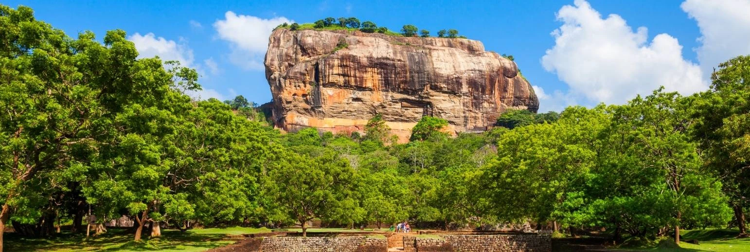 Family Tour Packages