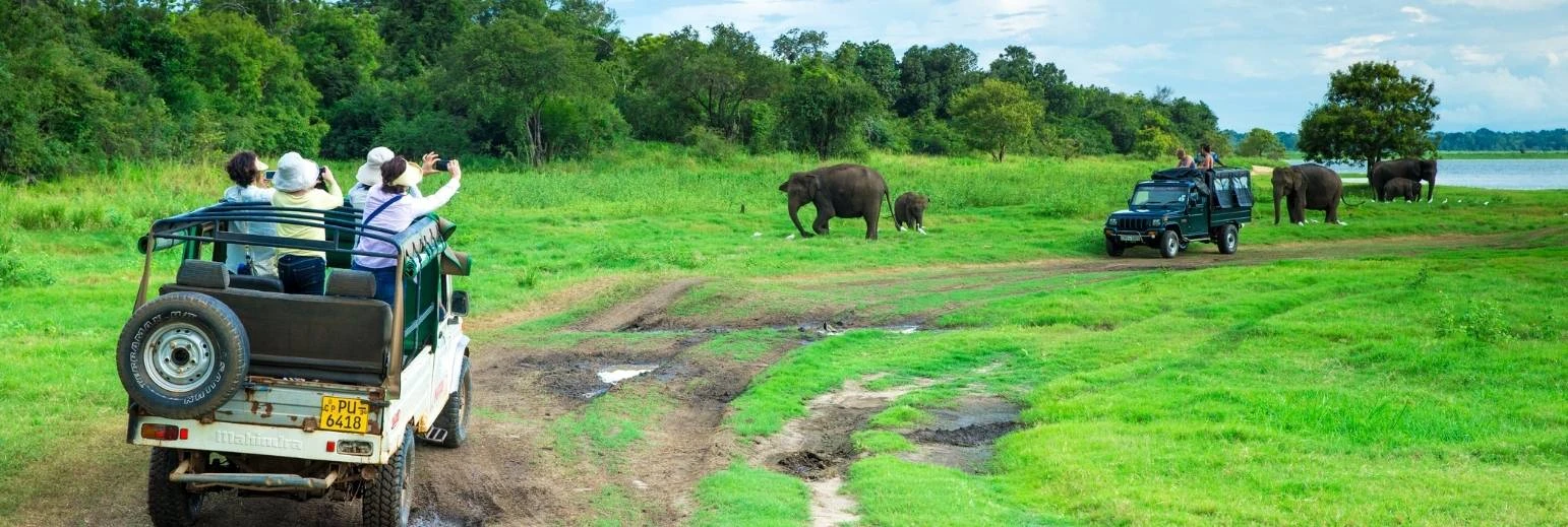 Group Tour To Sri Lanka