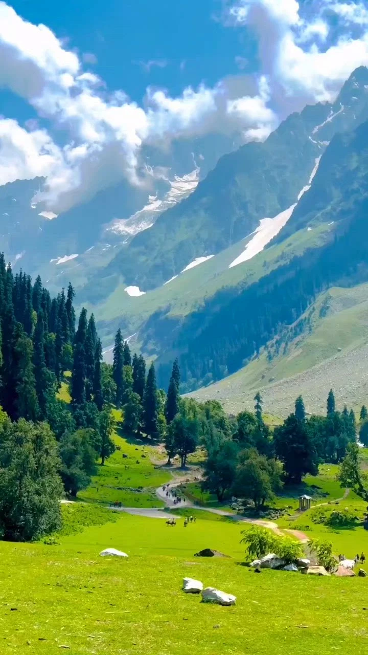 Kashmir Tour Packages