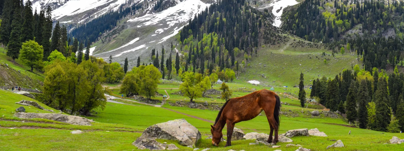 kashmir2