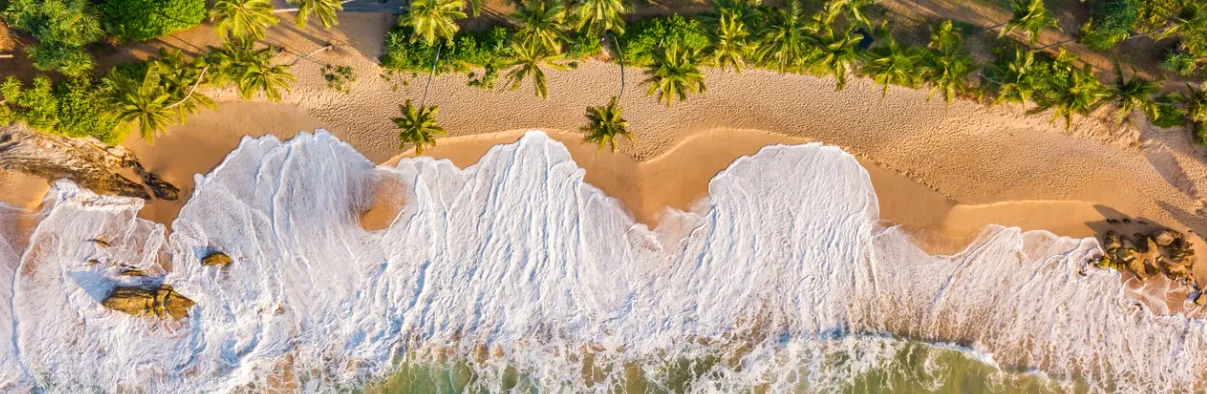 Sri Lanka2