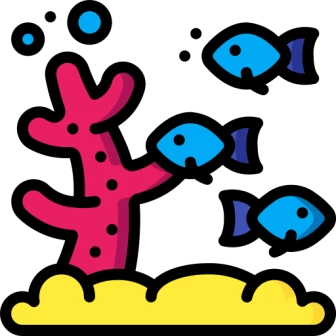 Coral View