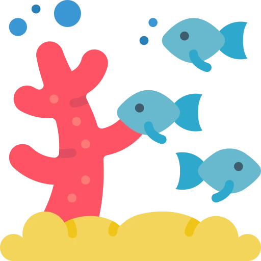 Coral Reef