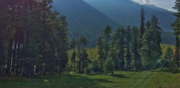 Excursion to Pahalgham