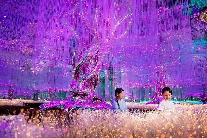 AYA Universe Dubai with Free Transfers