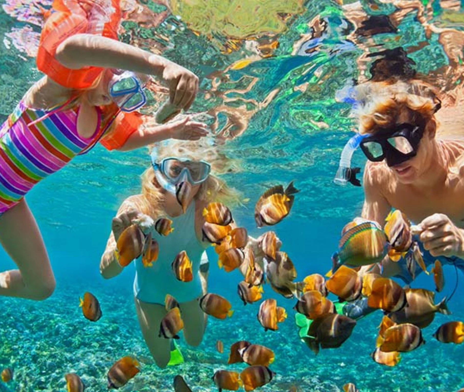 Snorkeling