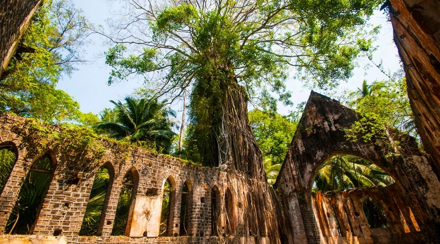 Cocktail of History & Natural Wonder Tour Package