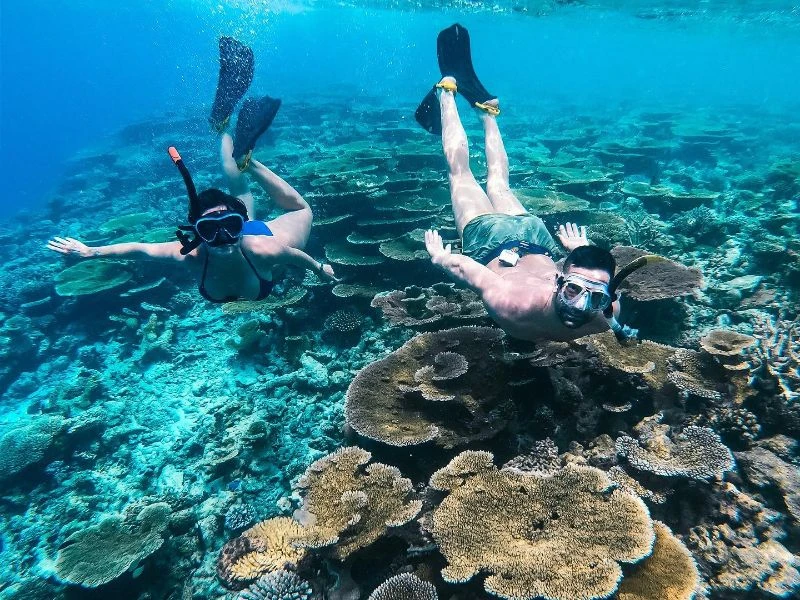 Maldives' Coral Dreams: Maafushi Package