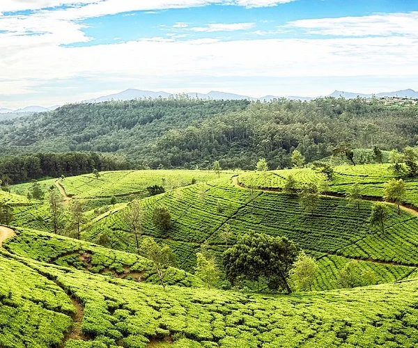 Mini Vacation in Sri Lanka