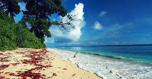 Island Paradise: Explore the Andaman Wonders