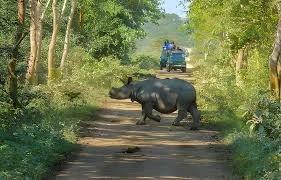 Kaziranga Rhinos & Meghalaya’s Natural Marvels