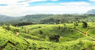 Perfect Trip to Sri Lanka