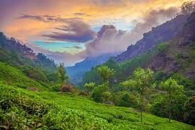 Kerala: Nature’s Embrace
