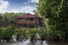 Kerala: Beyond the Ordinary