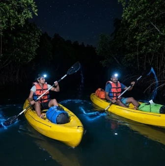 Night Kayaking in Havelock Island