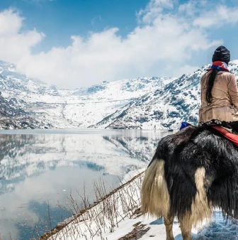 Yak Ride in Gangtok