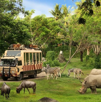 A Safari Like No Other: Discover Taman Safari Bali
