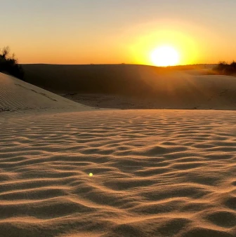 Sunset and Sand: Romantic Rajasthan