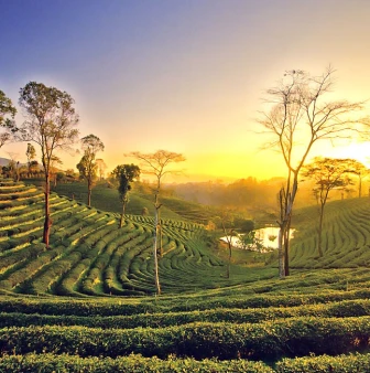 Mystic Meghalaya & Majestic Assam