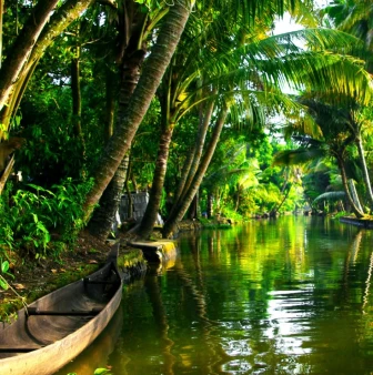 Discover Kerala, Naturally