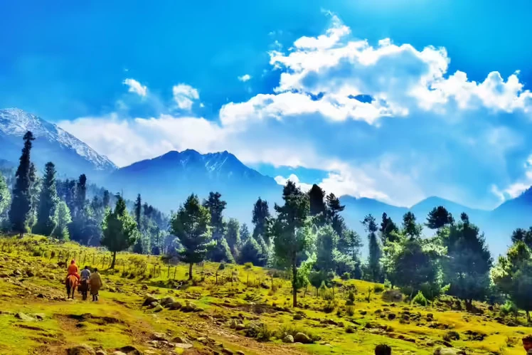 Kashmir & Katra Pilgrimage Package