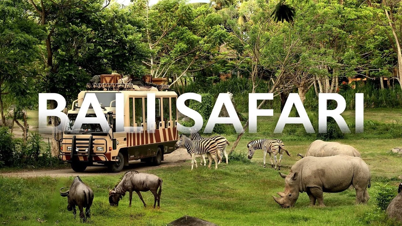 A Safari Like No Other: Discover Taman Safari Bali