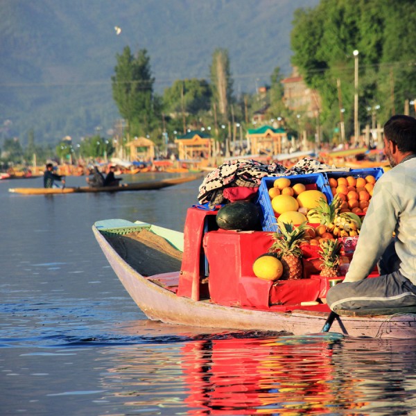 Kashmir & Katra tour package