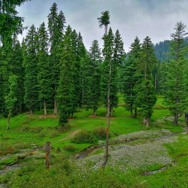 Happy Vacay to Kashmir